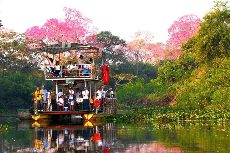 Fazenda San Francisco  Passeio De Chalana