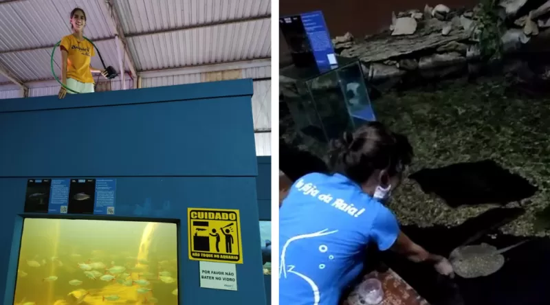 Aquario De Bonito Tratamento Bióloga Dia Do Biólogo 01