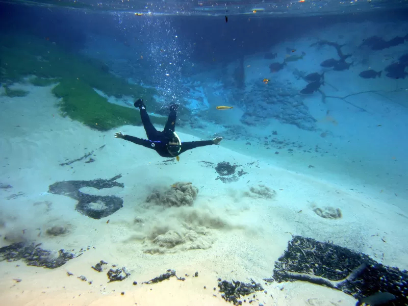 Recanto Ecológico Rio Da Prata Jardim MS Marcelo Gil (2)