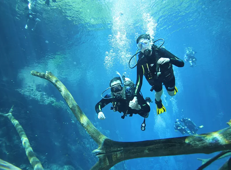 Mergulho Na Lagoa Misteriosa