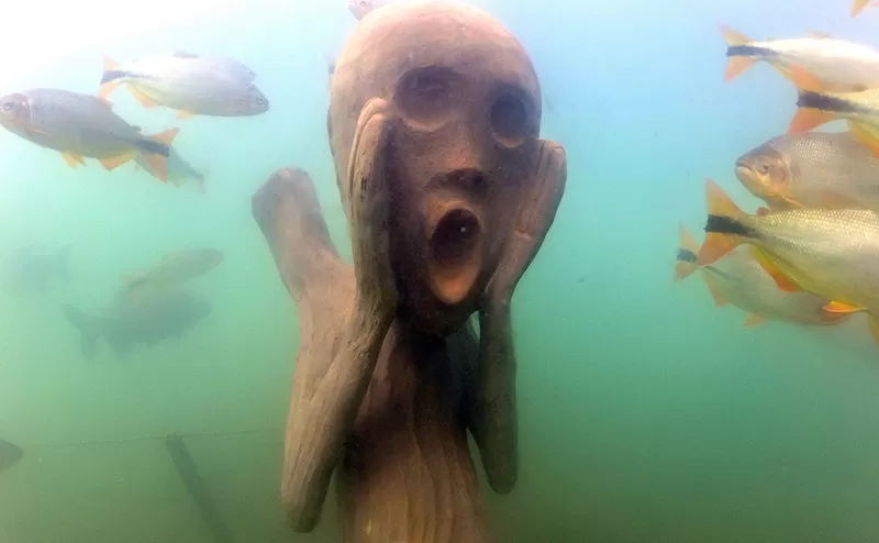 Museu Subaquatico Capa