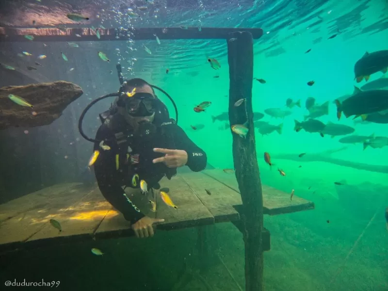 WhatsApp Image 2022 10 05 At 16.17.53 2