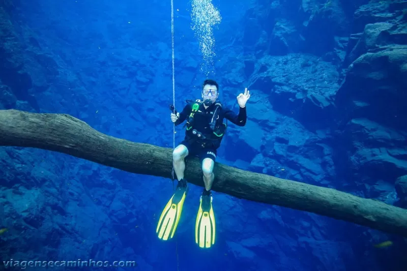 Mergulho Lagoa Misteriorsa Jardim Ms