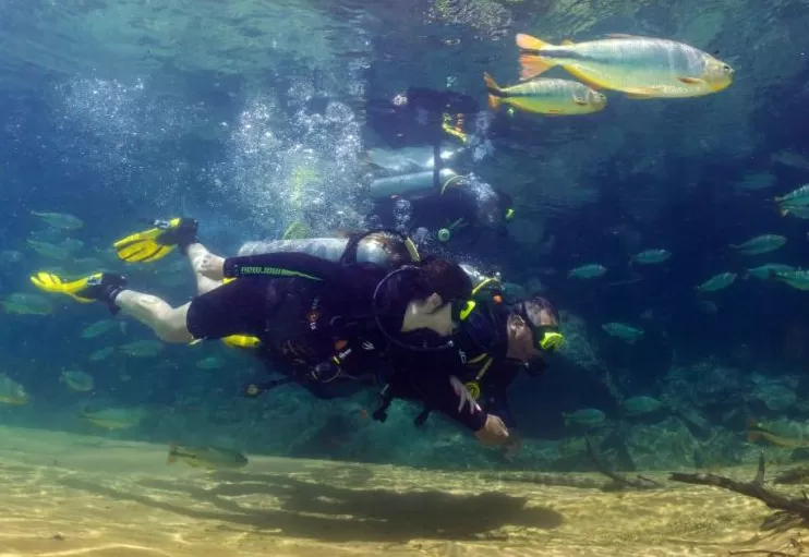 MERGULHO RIO DA PRATA 1   Copia