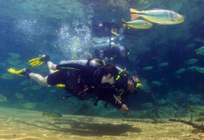 MERGULHO RIO DA PRATA 1   Copia