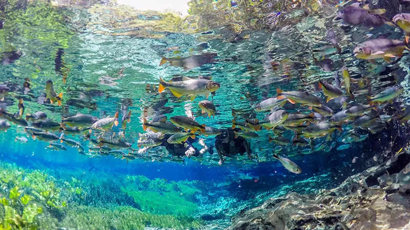 Aquario Natural
