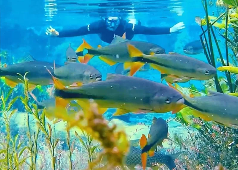 396127383 3091738987800573 1361434308442544756 N