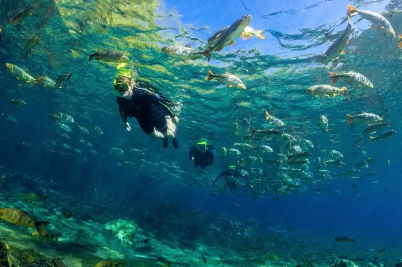 Rio Da Prata Acqua 6