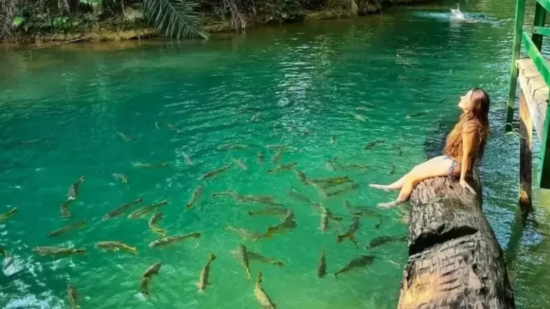 Bonito MS (2)