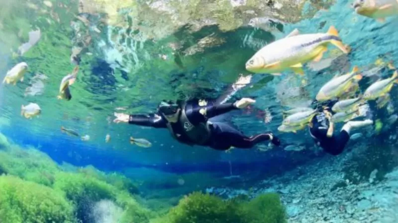 Flutuação Em Bonito Ms (2)