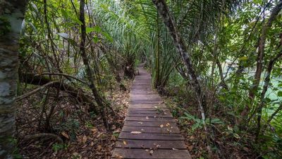 Caminhadas E Trilhas Em Bonito (2)