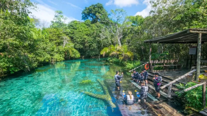 Ecoturismo No Brasil (1)