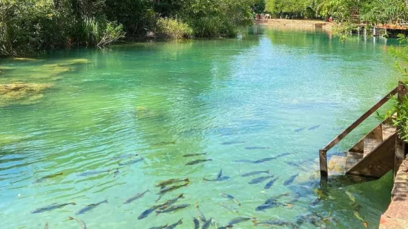 Ecoturismo No Brasil (2)