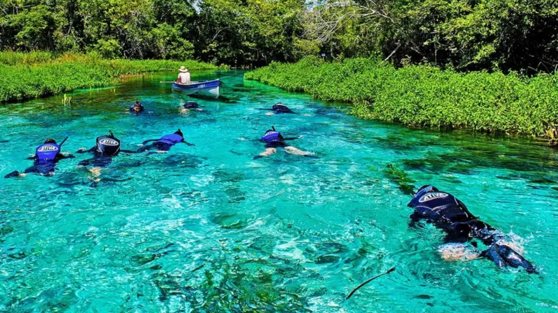 Rio Mais Limpo Do Brasil Rio Sucuri