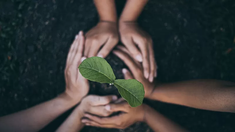 Turismo Sustentável No Brasil