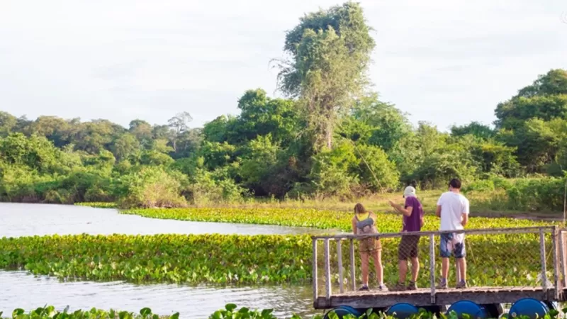 Como Ir De Bonito Para O Pantanal   Fazenda Aguapé