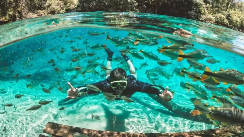 Quando Não Ir Para Bonito Flutuação