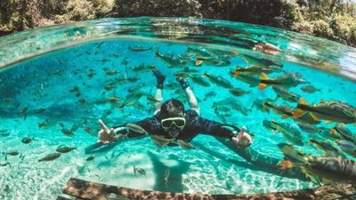 Quando Não Ir Para Bonito Flutuação