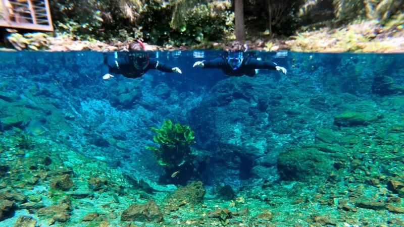 Melhor Mês Para Ir Em Bonito Flutuação