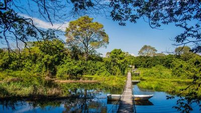 Quanto Custa Um Pacote Para O Pantanal (2)