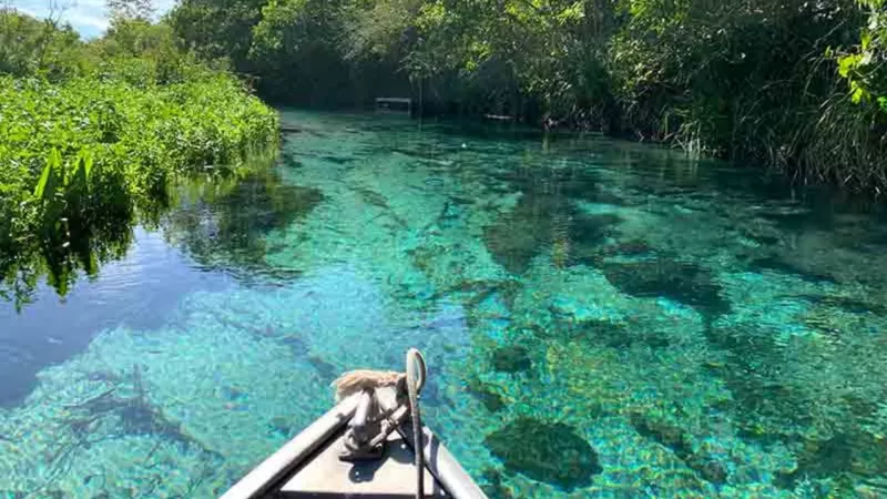Pacotes De Viagens Bonito