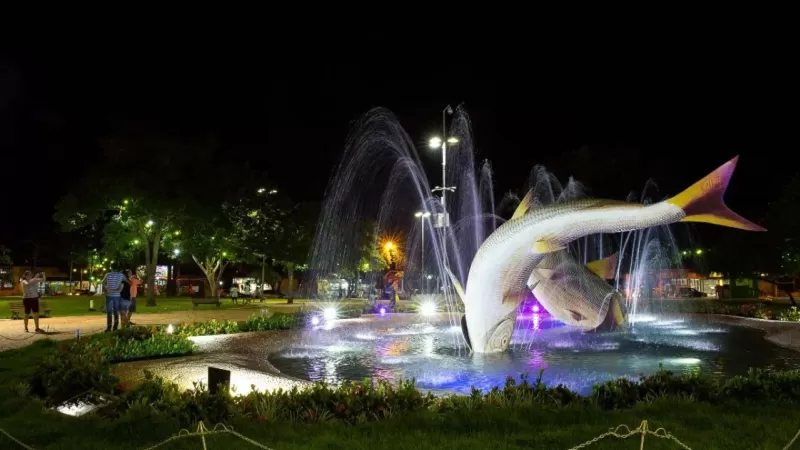 Comidas Tipicas Centro Oeste