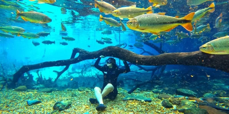 Flutuação Rio Da Prata Recanto Ecológico (10)