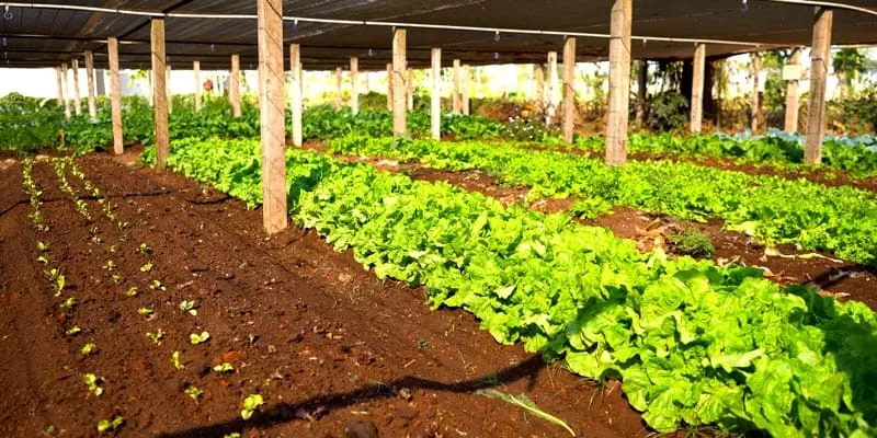 Flutuação Rio Da Prata Recanto Ecológico (7)