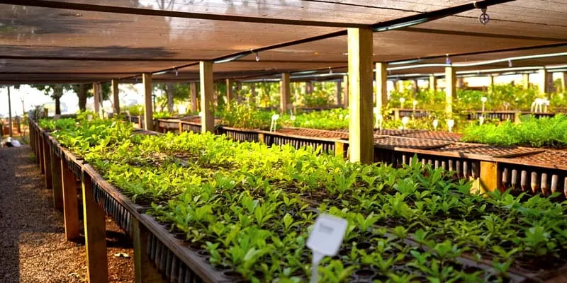 Flutuação Rio Da Prata Recanto Ecológico (8)