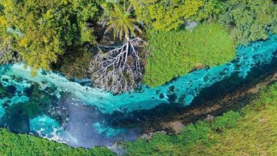 Rio Sucuri Bonito Ms (3)