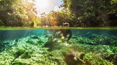 Jardim MS Flutuação