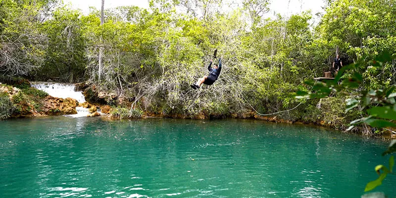 Aquário Natural (4)