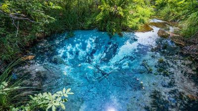 Rio Sucuri Bonito (3)