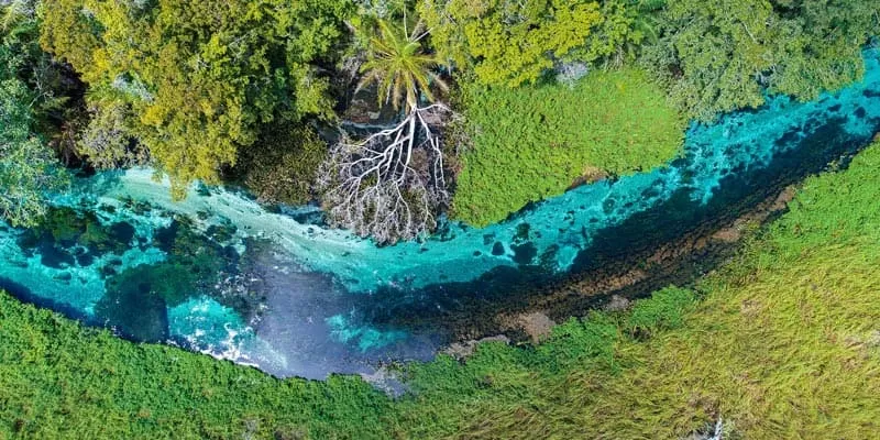 Flutuação No Rio Sucuri Em Bonito MS (9)