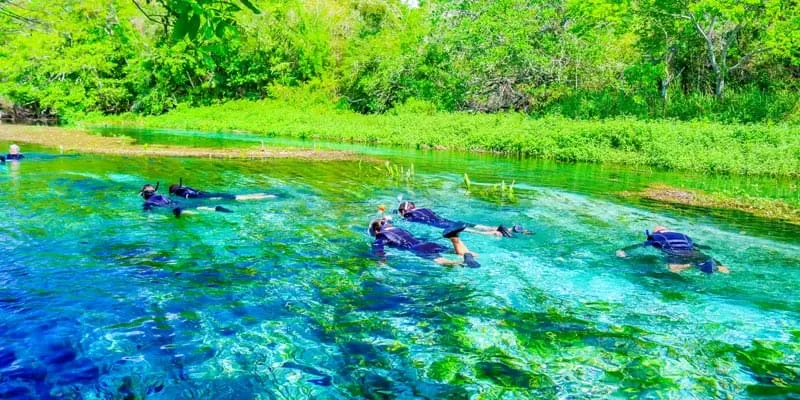 Flutuação No Rio Sucuri Em Bonito MS (3)