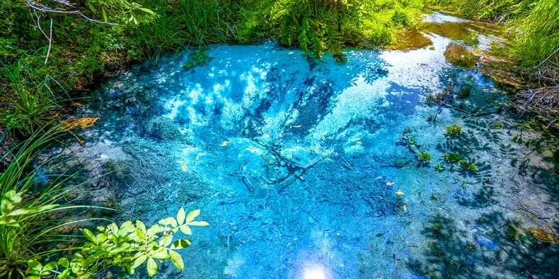 Flutuação No Rio Sucuri Em Bonito MS (6)