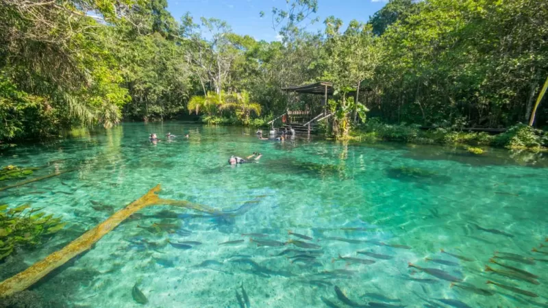 Chapada Dos Veadeiros E Bonito (2)