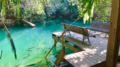 Fernando De Noronha Bonito Ou Jalapão (1)