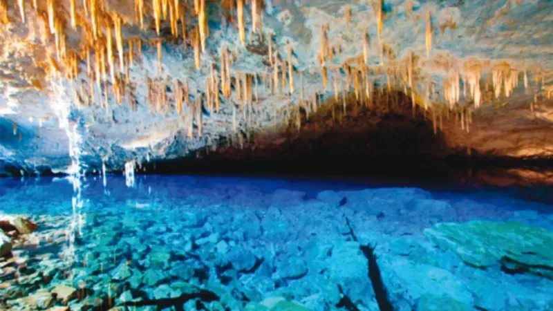 Primavera Em Bonito MS (1)