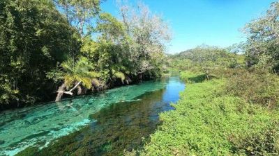 Bonito MS é Seguro (1)