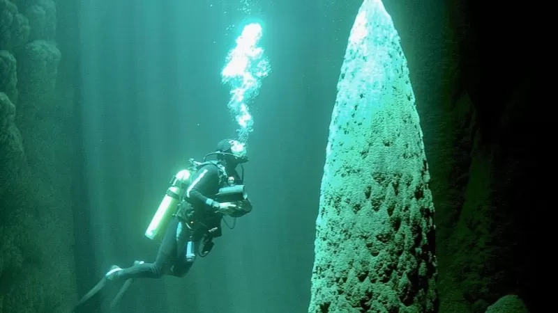 Reserva Natural Parque Ecológico Vale Anhumas (2)