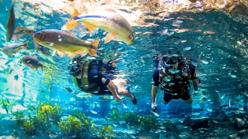 Tipos De Turismo (3)