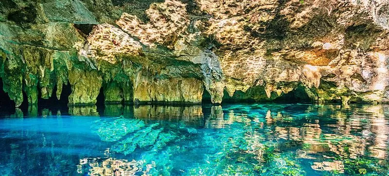 Cenote Abejas Mexico