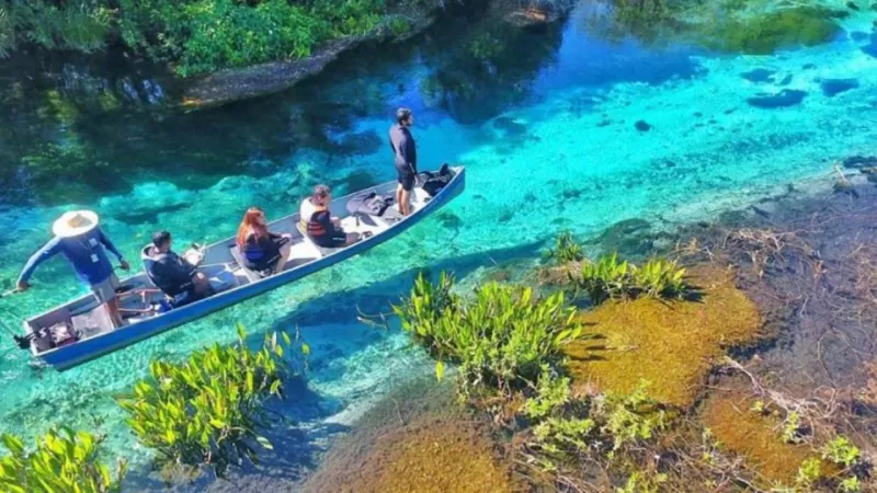 Bonito Em Março (2)