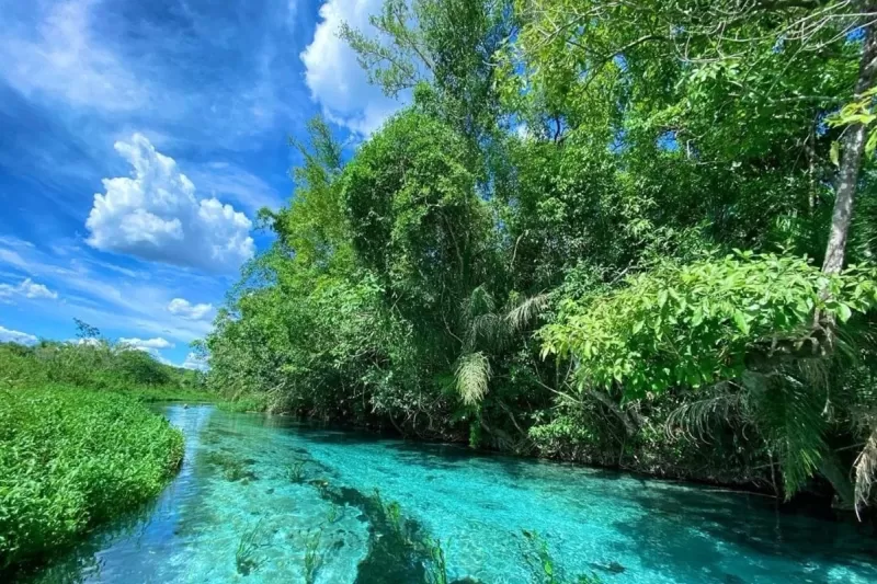 Int Passeio Em Bonito Mato Grosso Do Sul