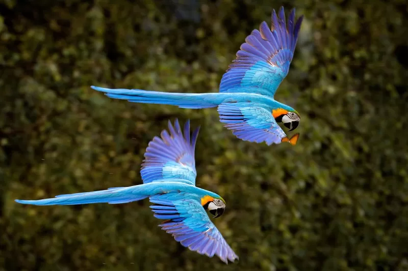 B9d3a1cc54274dcb89f912d8c44de076