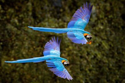 B9d3a1cc54274dcb89f912d8c44de076