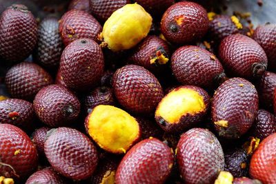 Int Frutas Do Cerrado