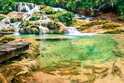 Int Viagem Bonito Mato Grosso Do Sul