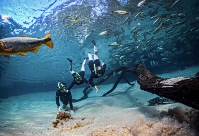 mergulho profissional